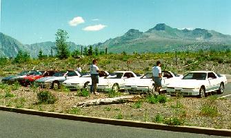 Click to see the group and cars sunbathing - Large